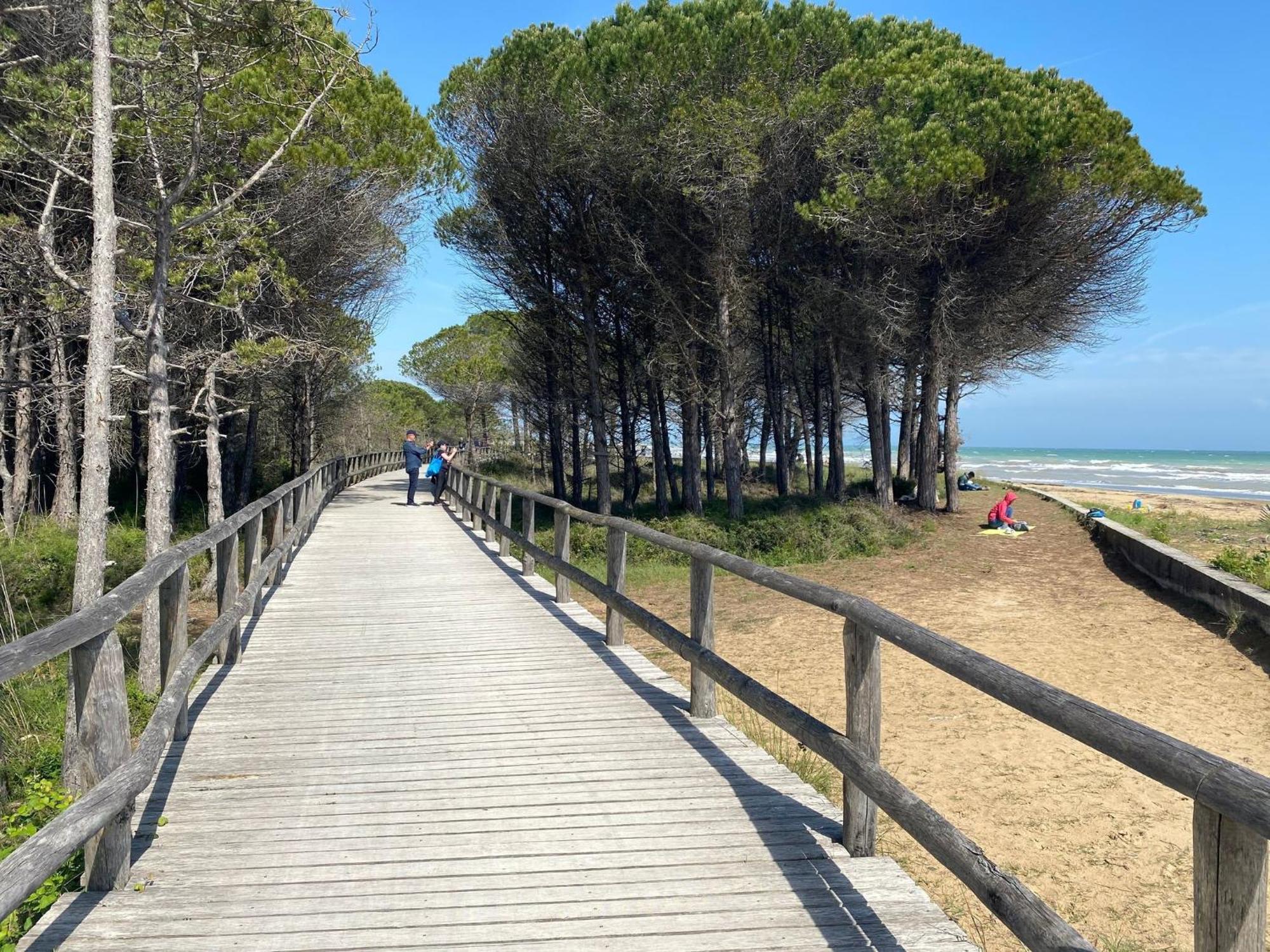 Bright With Garden And Parking - Beahost - Bibione